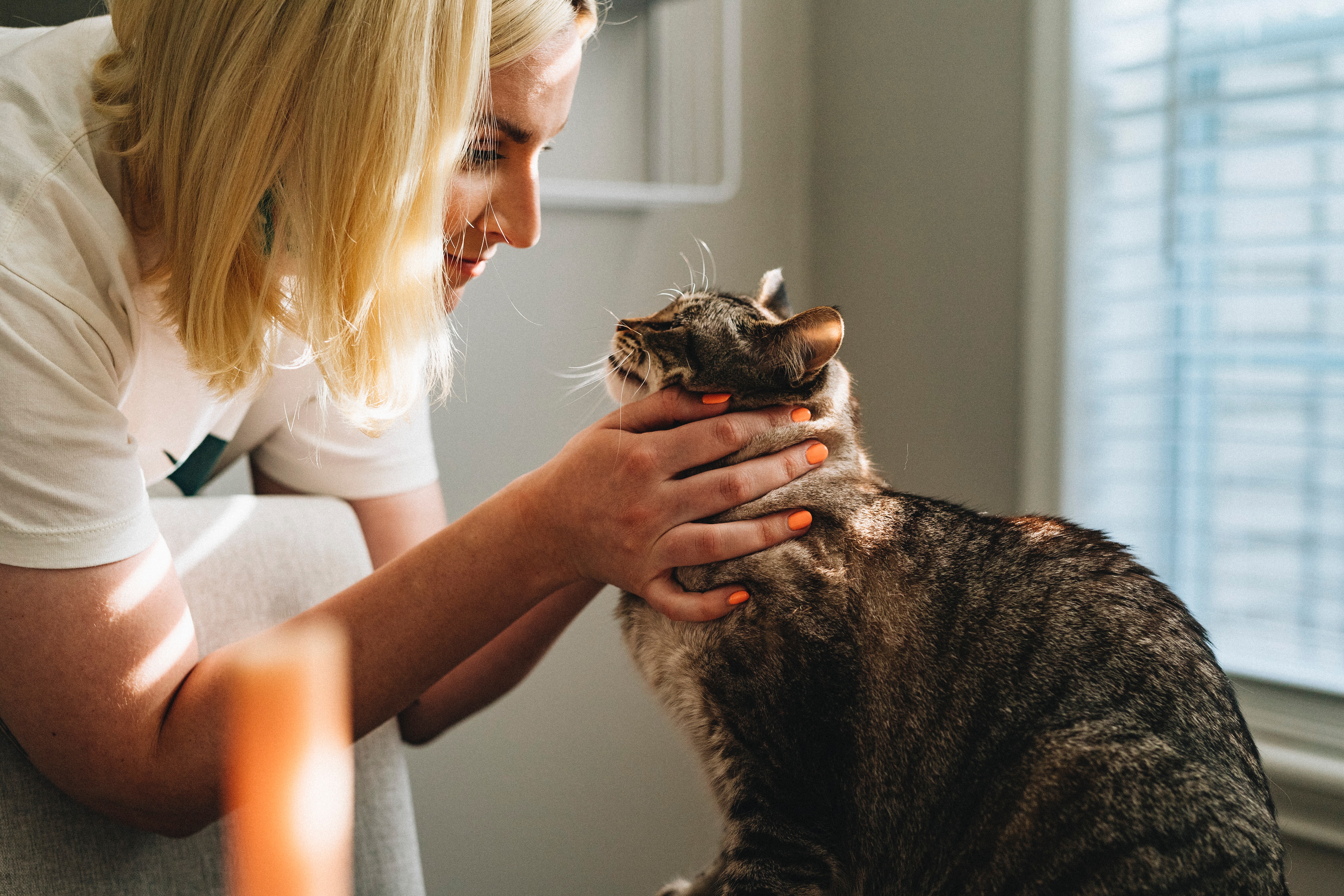 integrative veterinary