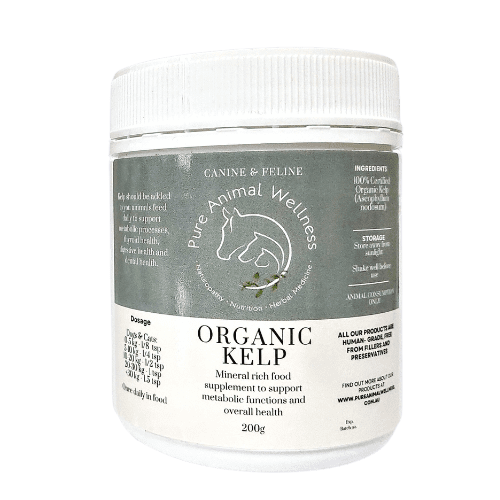 Kelp as a dietary supplement for dogs, cats and horses